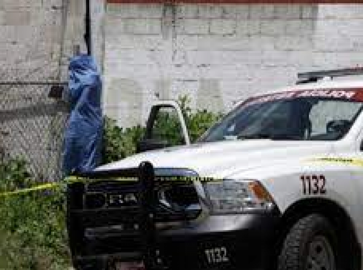 Gobernadores de Morena recibirán estados con altos índices delictivos