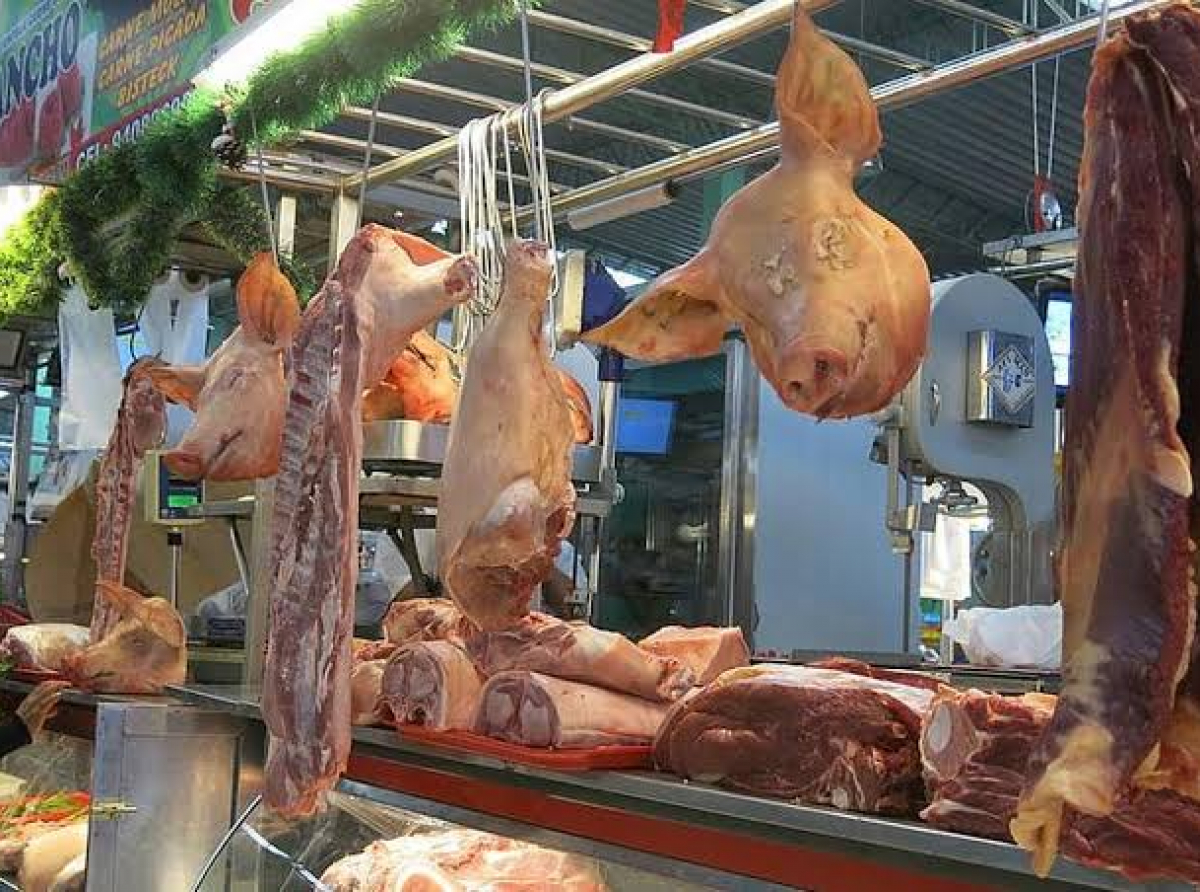 Porcicultores de malas, baja precio de carne de puerco