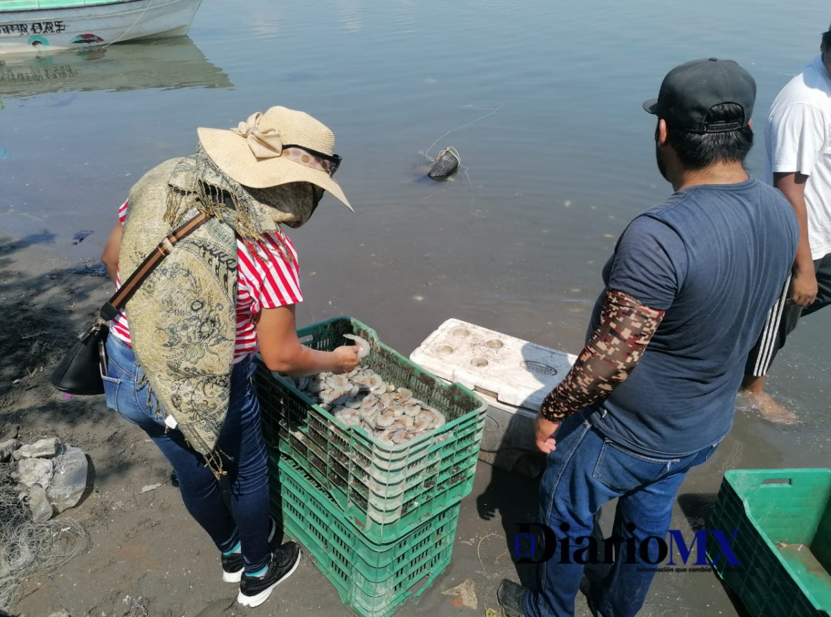 En crisis la pesca de camarón en el Puerto de Yavaros
