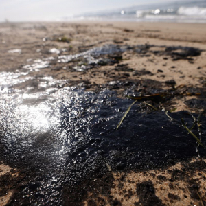 Derrame de petróleo deja los peores desastres en California