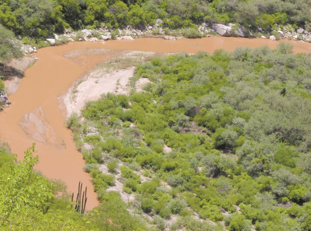 Realizan nuevo diagnóstico ambiental por daños causados por derrame de mina en Cananea