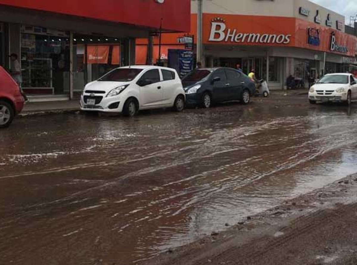 Zona de emergencia y desastre sanitario es declarado Guaymas