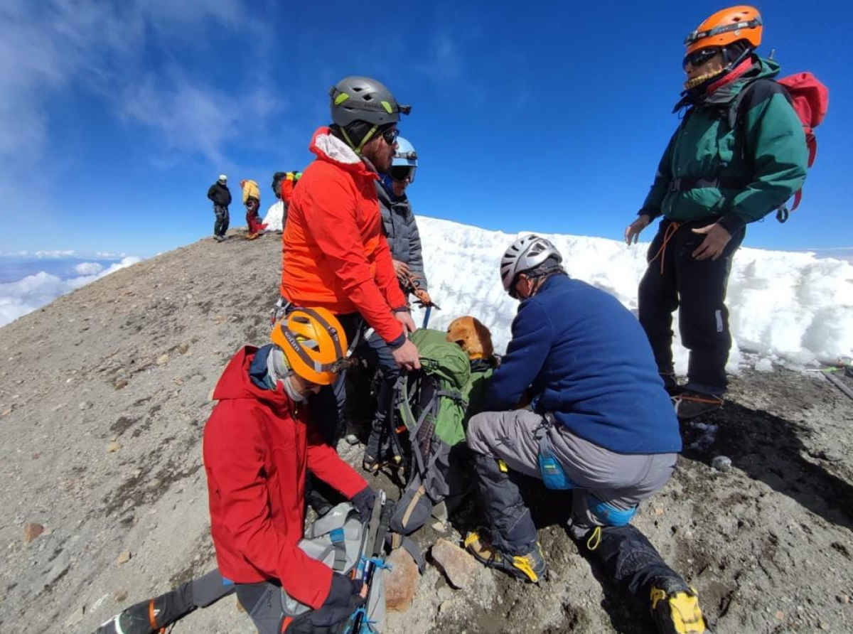 Lomito abandonado en el Pico de Orizaba es rescatado