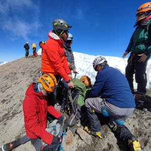 Lomito abandonado en el Pico de Orizaba es rescatado