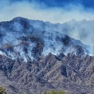 Más de mil hectáreas de área natural se han quemado en sierra de Álamos