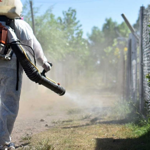 Agrupación exige a Salud fumigue contra dengue en colonias de la ciudad