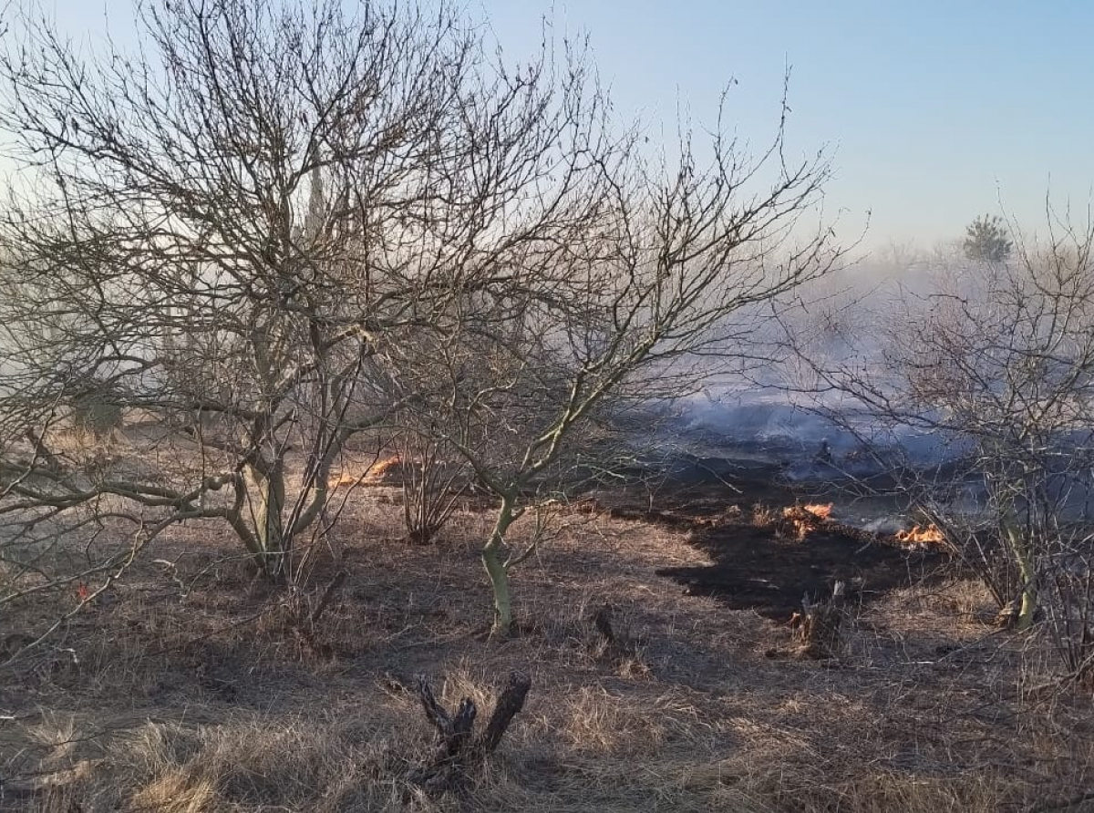 Más de 300 hectáreas han sido incendiadas de forma intencional